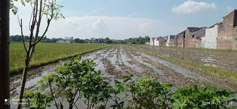 TANAH STRATEGIS BELAKANG ALANA COLOMADU