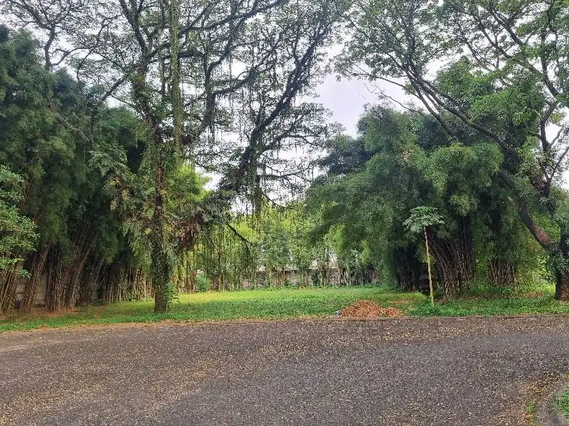 Kavling Alam Sutera Cluster Lavender Hadap Utara Bisa Kpt / Cicil 36x