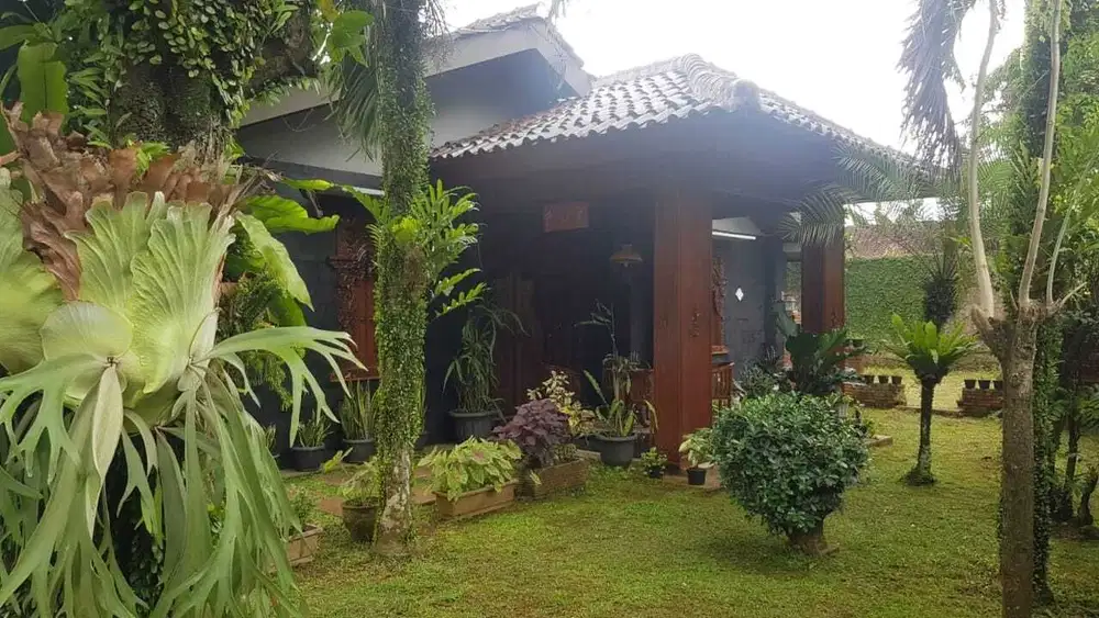 Dijual Rumah Mewah Ekterior dan Interior Kayu Jati Di Cibubur