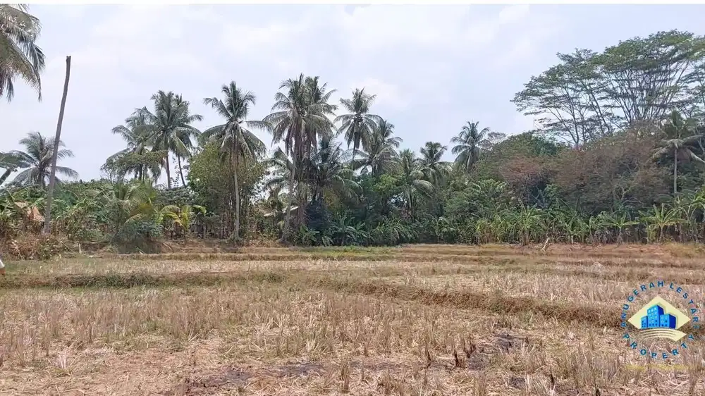 Jual Tanah Di Jalan Raya Citeras, Rangkas Bintung - Lebak, Banten