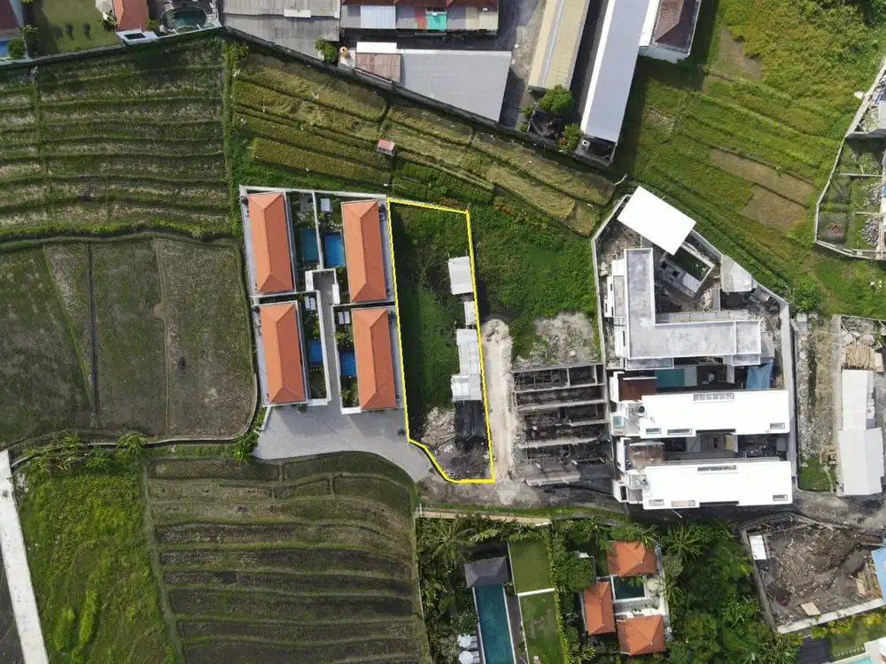 Dijual Tanah luas 6 Are di  Canggu - Thumbnail 4