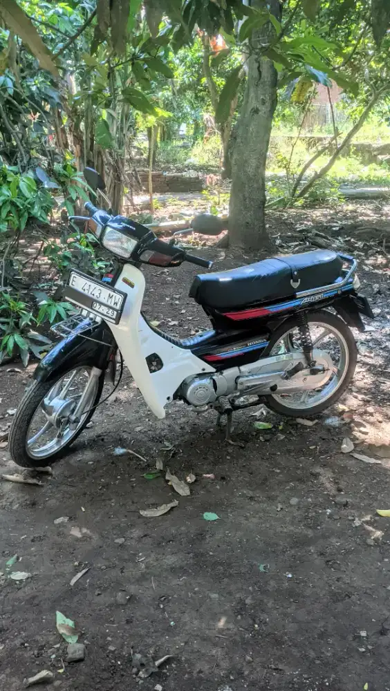 Astrea grand bulus 1993