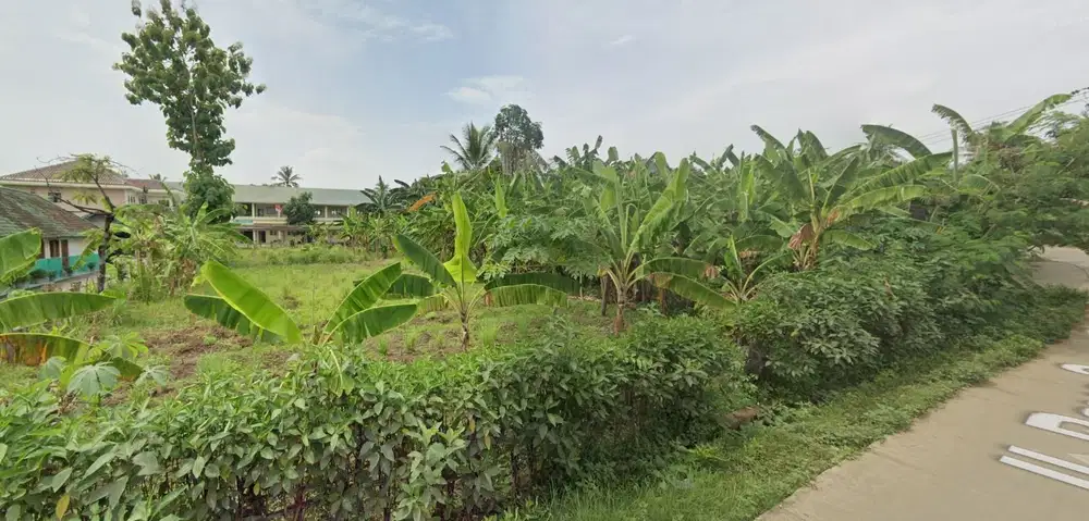 Tanah Dijual Cepat Di Jl. Bunar Saga, Balaraja, Tangerang