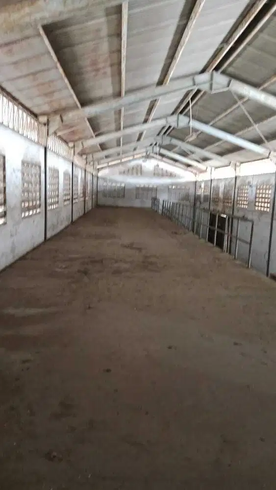 Di sewa Gudang Strategis Rawa Lele Jakarta Barat