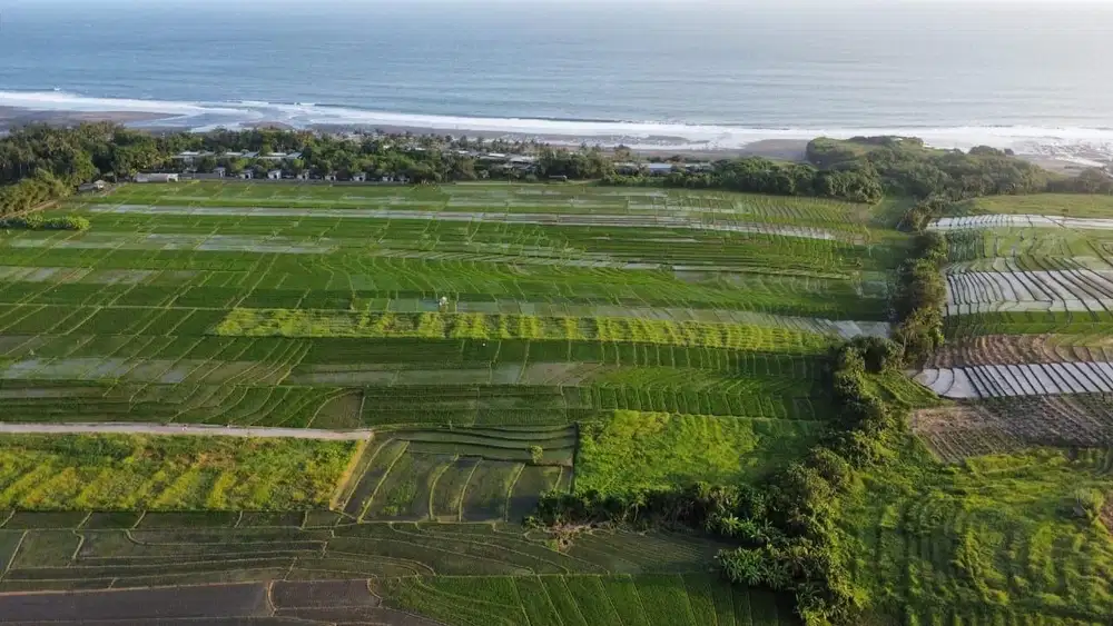 Exclusive Land Plots for Sale, Tabanan