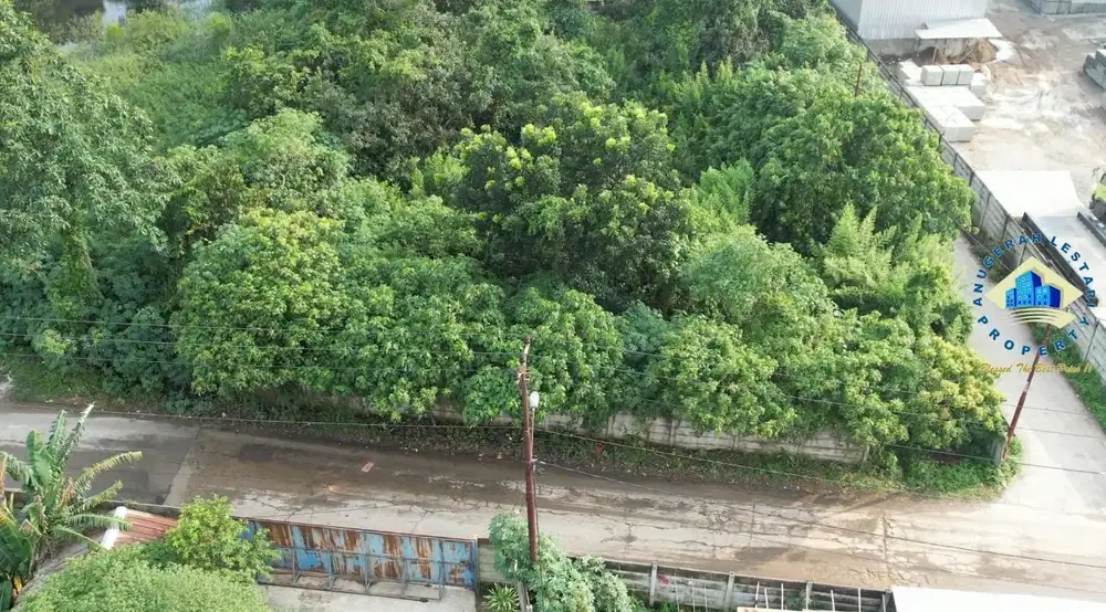 Jual Tanah Di Desa Dangdang, Cisauk  - Tangerang