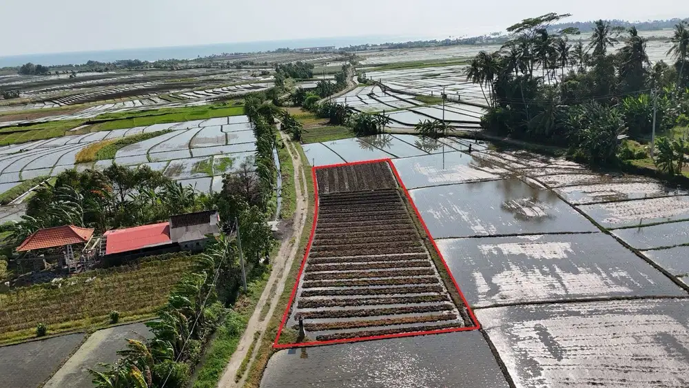 Tanah 9 Are Di Tibubiu Kerambitan Tabanan Dekat Pantai Pasut Kelating