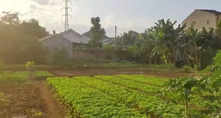 Jual Tanah murah 3jt/m