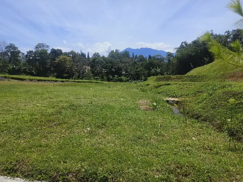 Kavlingan mewah di puncak megamendung bogor