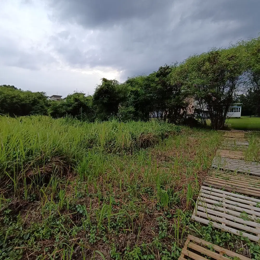 Tanah Murah di Kawasan Berikat Jababeka