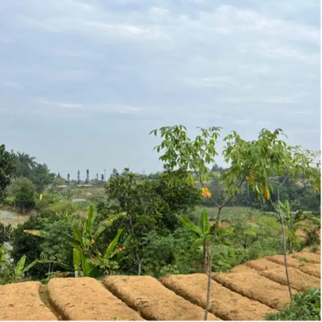 Tanah murah view gunung cisarua puncak bogor