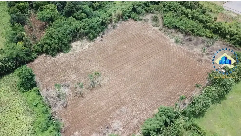 Jual Tanah Di Jalan Desa Dangdang, Cisauk - Tangerang