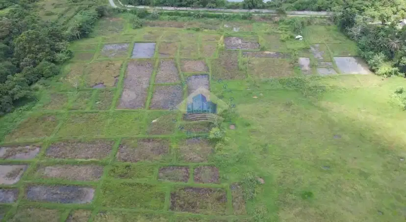 Jual Tanah di Jl Kopo maja Gabus Serang Banten