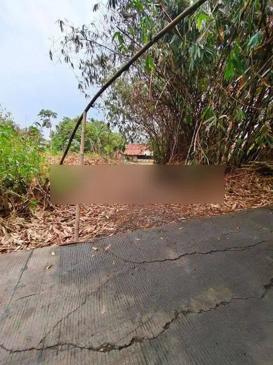 Tanah Datar Harga Murah Di Perbatasan Curug Dan Legok