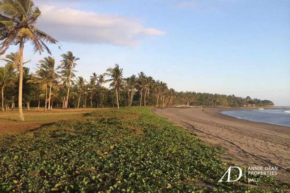 FREEHOLD INVESTMENT OPPORTUNITY 7.23HA LAND IN MEDEWI