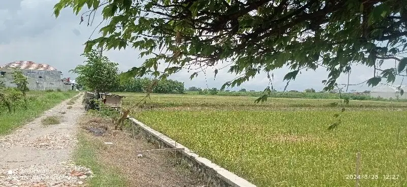 TANAH COLOMADU DEKAT ALANA HOTEL