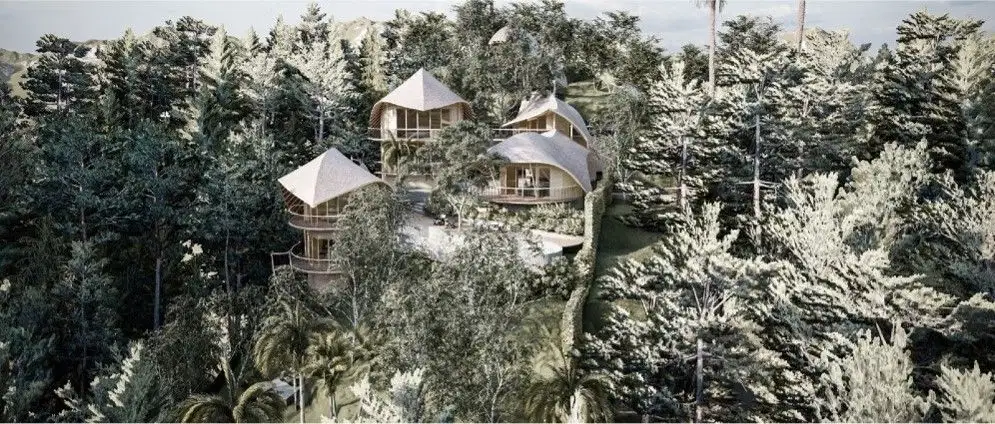 Discover Freehold Stunning Forest View Land In Keliki Village – Ubud - Thumbnail 5
