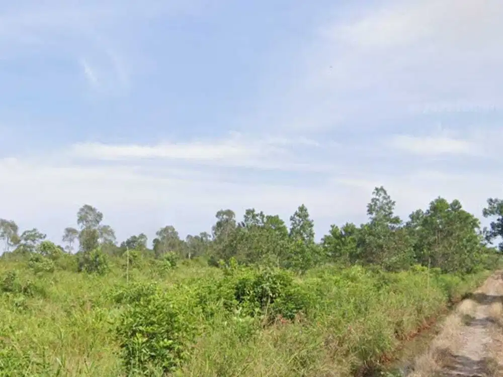 DIJUAL TANAH PLUS KEBUN SAWIT KAWASAN MARIANA BANYUASIN