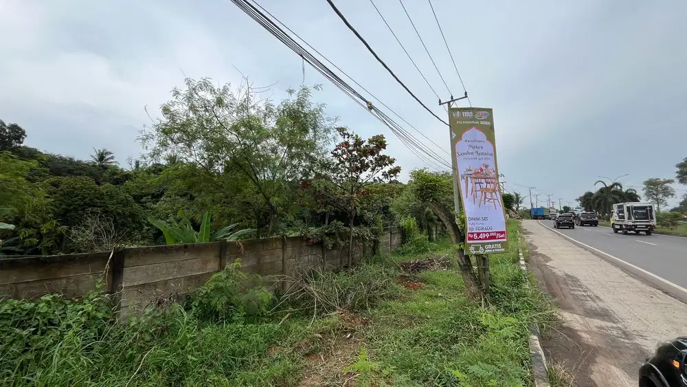 DIJUAL LAHAN SUPER LUAS 12 HEKTAR NOERDIN PANDJI PALEMBANG