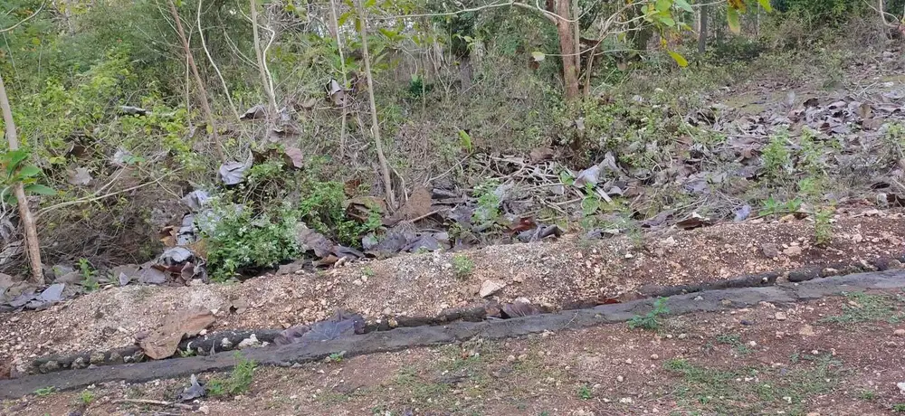 Tanah Sewa Belakang Abi Villa Resort Jimbaran