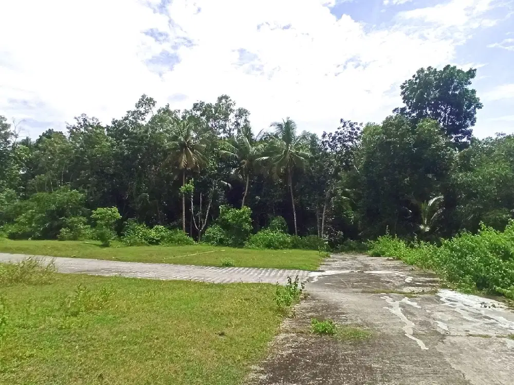 Tanah Kapling Jl. Gotakan Kulon Progo Dekat Exit Tol Wates-Jogja