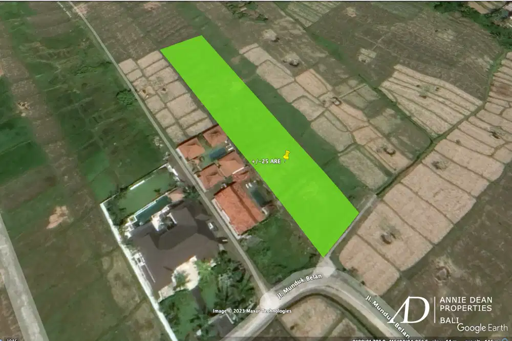 LEASEHOLD LAND IN SESEH CLOSE TO THE BEACH (25 ARE)