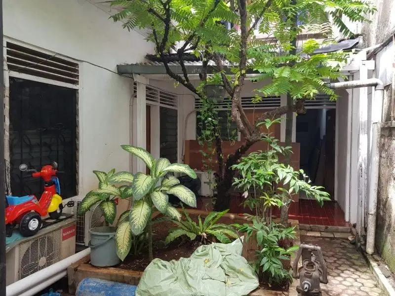 Rumah Tinggal Hitung Tanah untuk Komersial wt8630 ms