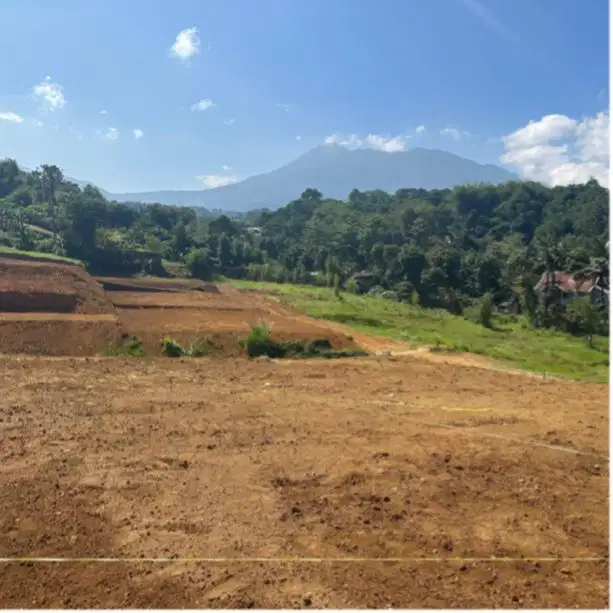 Tanah murah shm cisarua puncak bogor