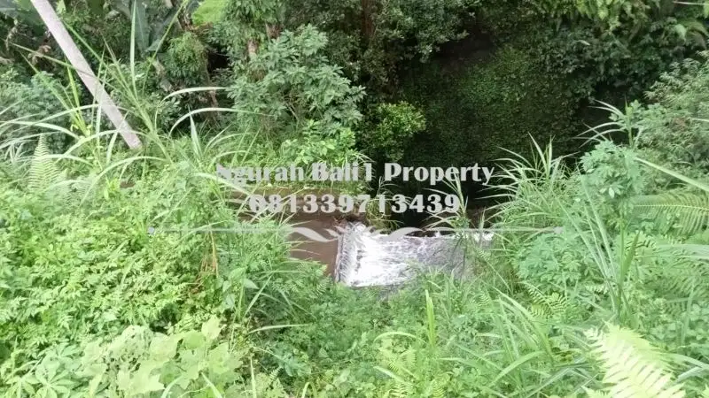 Tanah Murah Dijual Luas 17 Are View Sawah di TPS Ubud