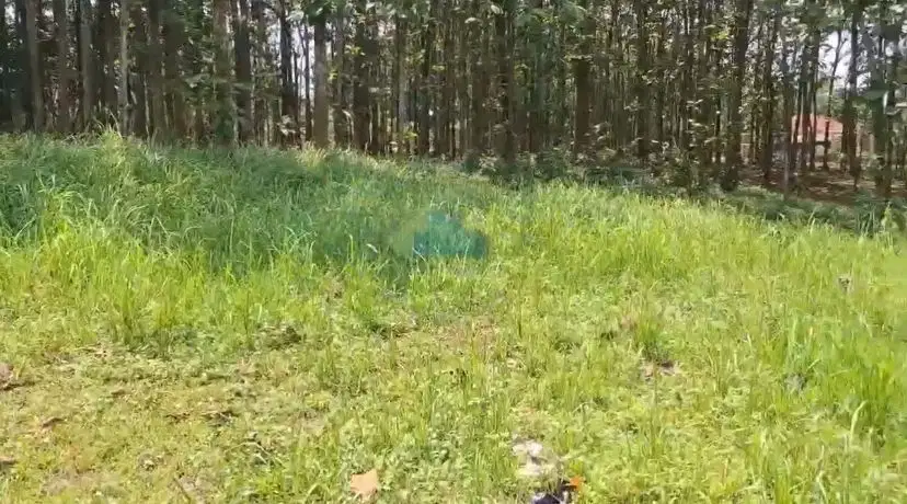 Jual Tanah di Ciangir, Legok, Tangerang, Banten