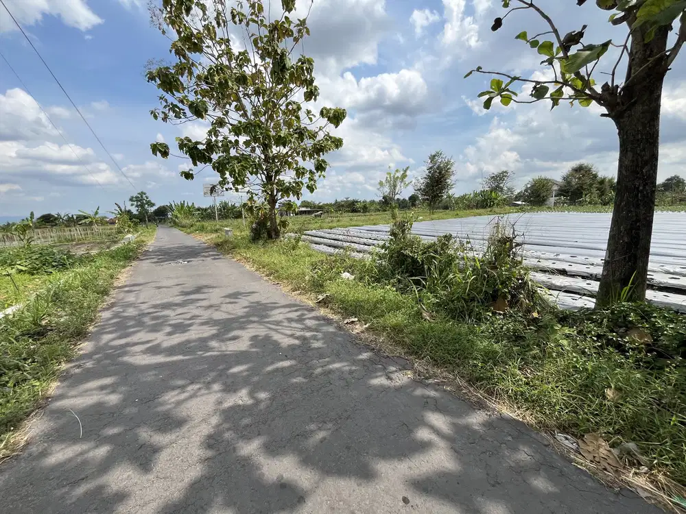 Tanah Kavling Siap Bangun dan AJB