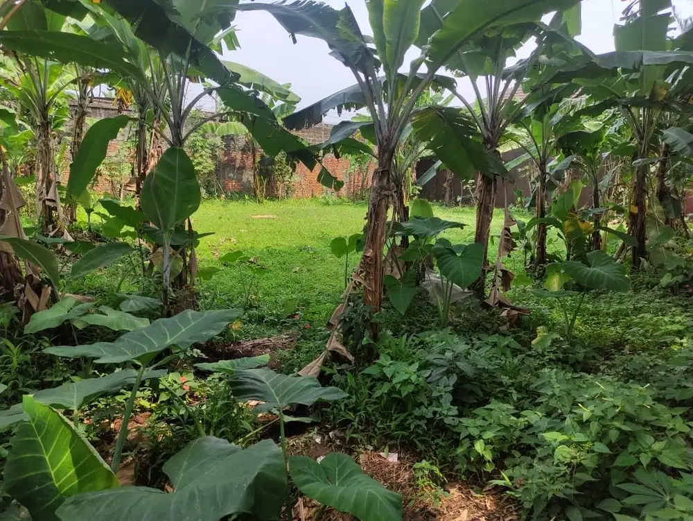 Tanah Murah 2,5 Juta Per M2 Di Bogor Timur Di Komplek Agricon Tajur