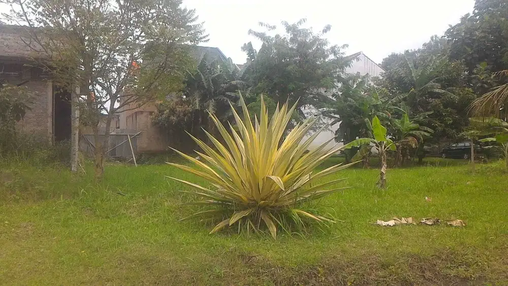 Tanah Di Senam Indah Arcamanik Jarang Ada