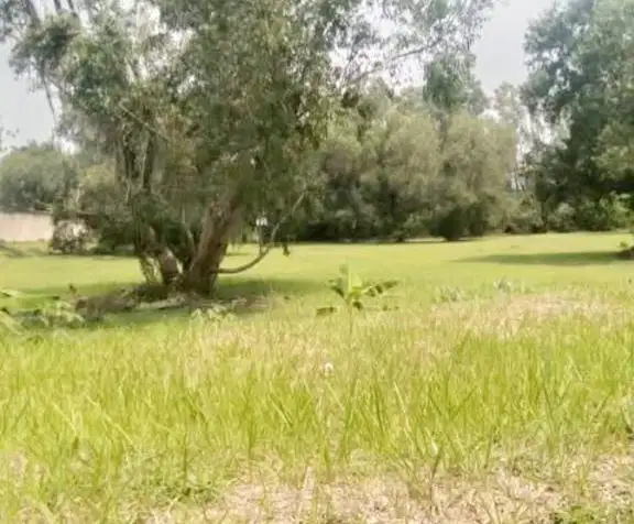 JARANG ADA TANAH KAVLING DI TAMAN TEKNO PUSPITEK TANGSEL