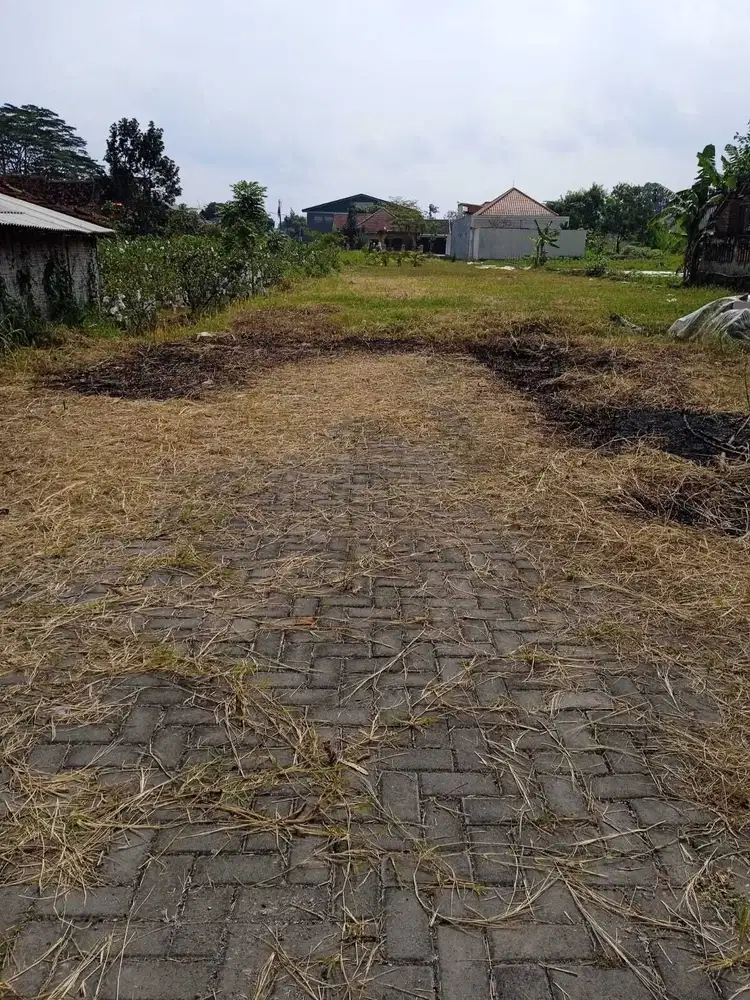 Tanah Kavling 120 m² di Jl. Damai, Akses Jalan Luas