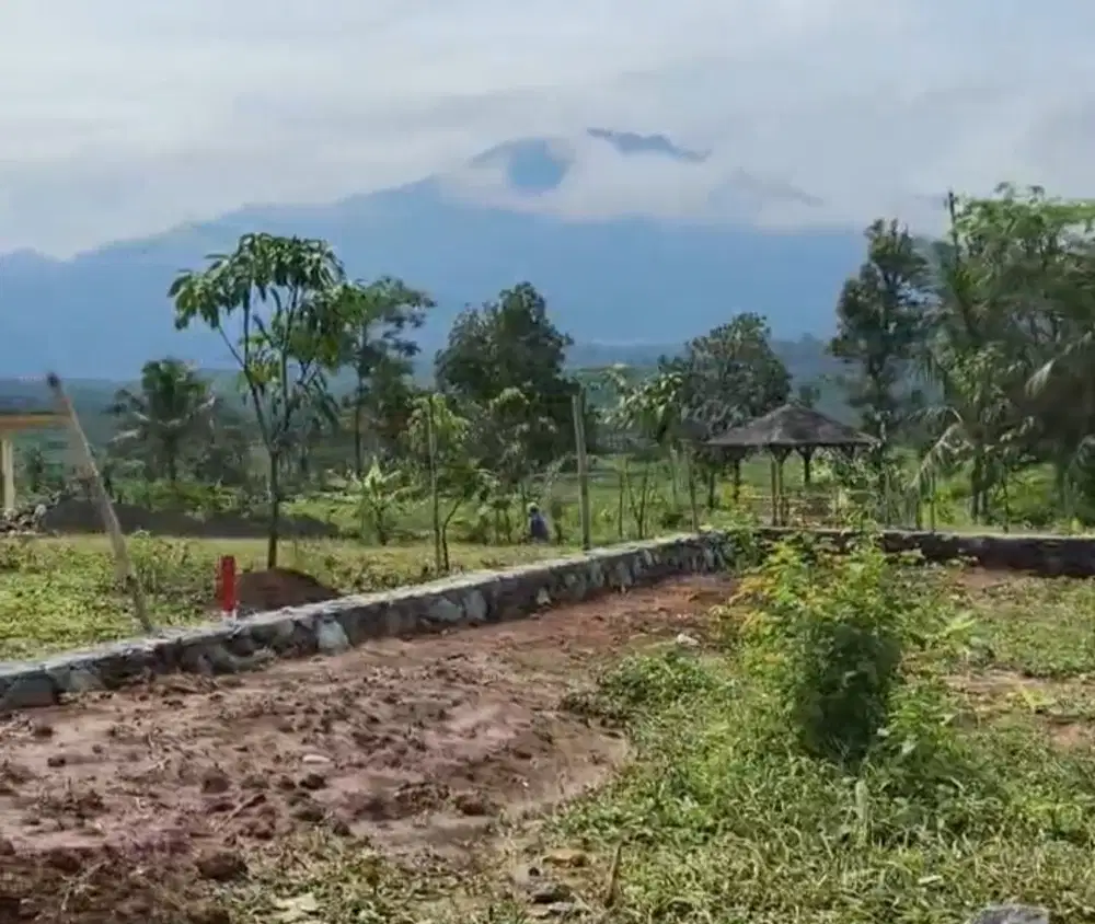 Miliki Tanah Murah Nuansa Alam Golden View Bogor Free AJB Nama sendiri