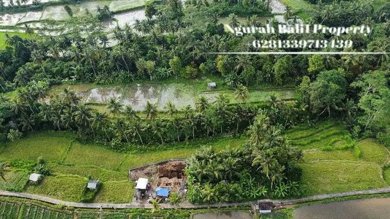 Land For Sale Murah Luas 46 Are View Sawah, Sungai dan Gunung di Ubud