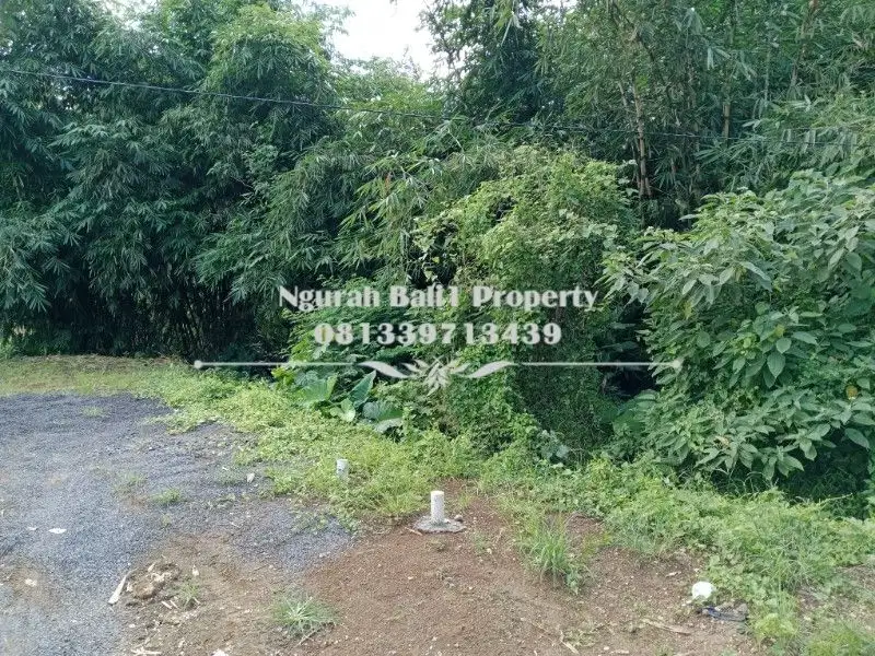 Dijual Tanah Murah Luas 7 Are View Sawah dan Sungai