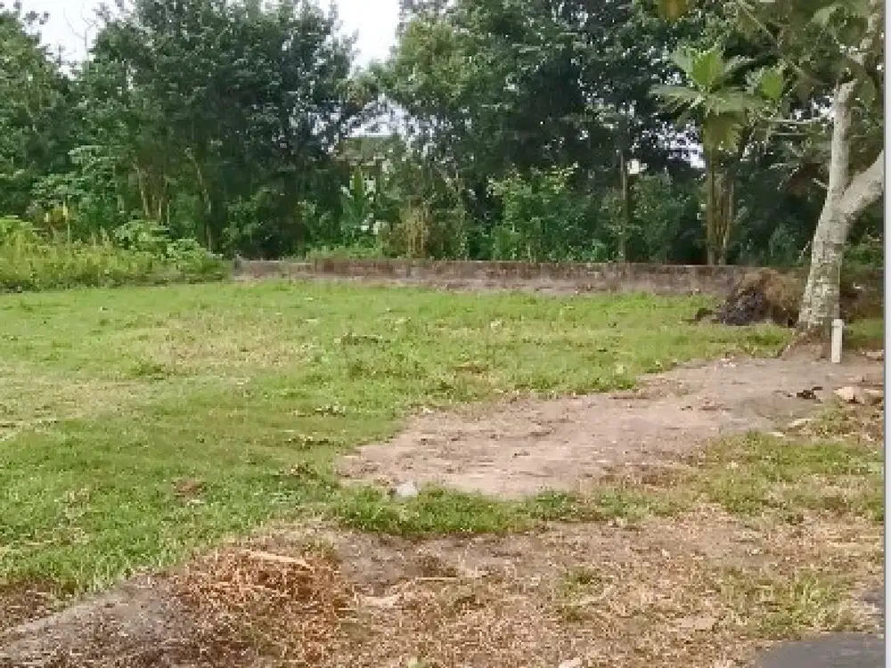 Tanah Murah di Jl. Rejodani, Dekat RS Puri Husada Harga Mulai 3 Jt-an