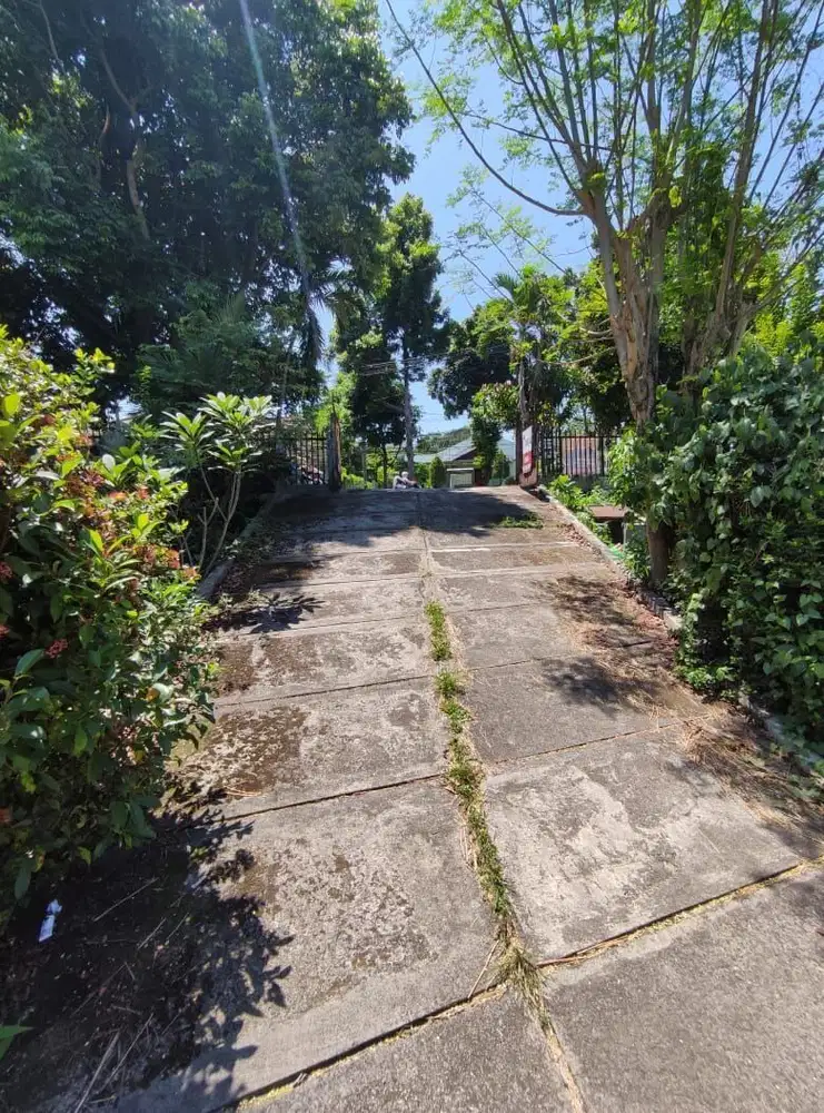 Tanah Murah Di Bawah NJOP Bonus Bangunan Rumah Di Lawanggintung