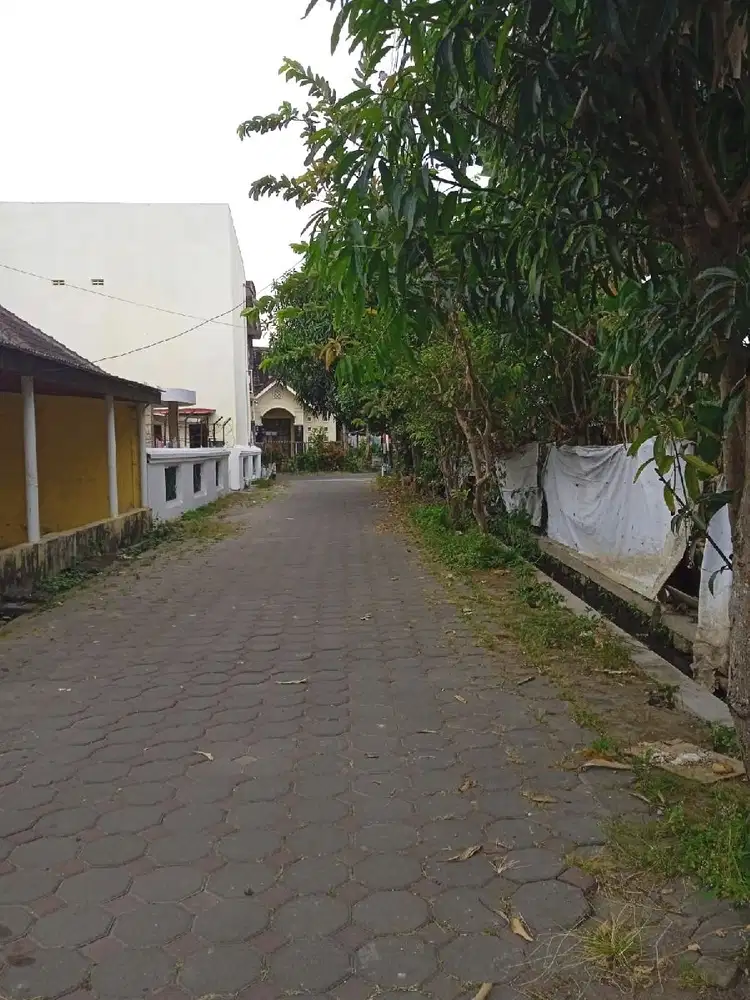 Barat Tugu  Jogja Tanah Strategis Nogotirto Sleman