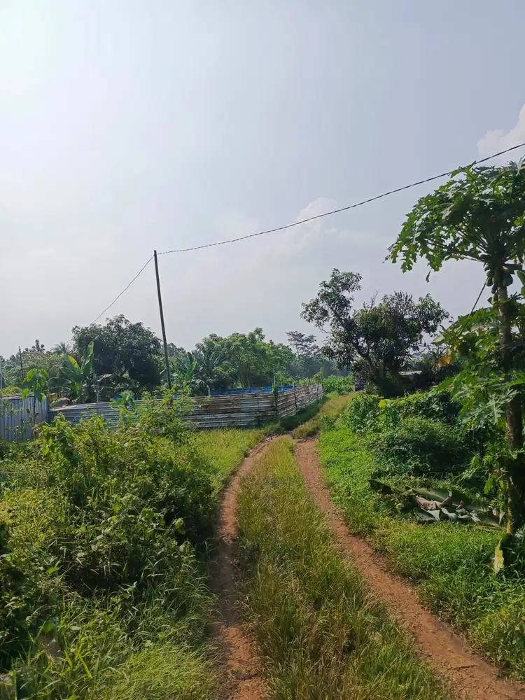 Dijual Tanah Datar Di Ciseeng Cocok utk perumahan, perkebunan, dll