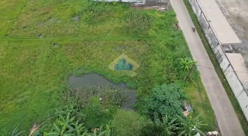 Jual tanah di Panongan dekat kawasan industri bizpoint Tangerang