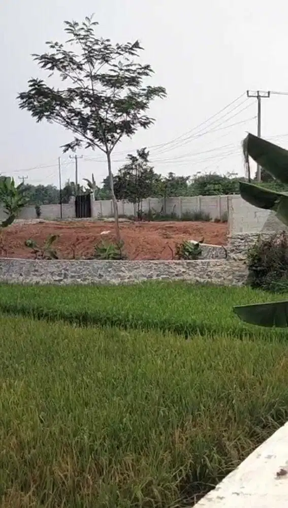 DIJUAL TANAH DI PARUNG PANJANG