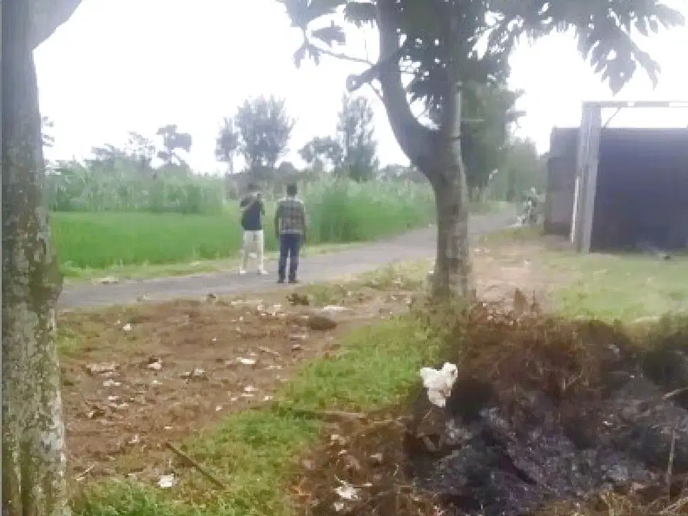 Jl. Plumbon Sleman, Dijual Tanah Jogja Dekat Pasar Rejodani