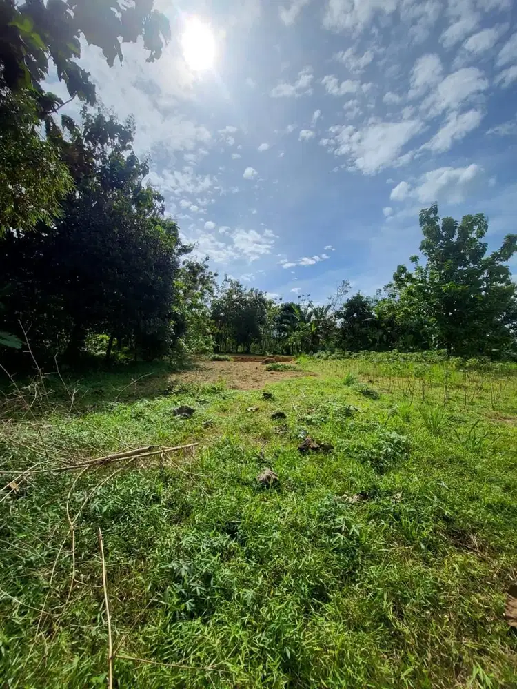 Tanah Dijual Harga Dibawah NJOP Di Rancamaya Kota Bogor