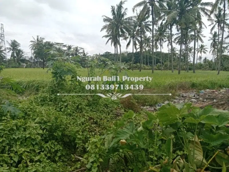 Dijual Tanah Murah Luas 500 m2 Kawasan Villa di Ubud