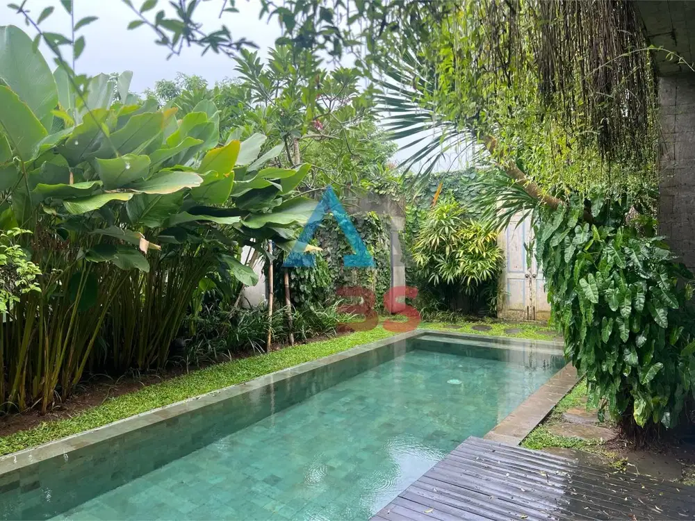 FOR SALE RUMAH DI TENGAH KOTA LOKASI PRIME STRATEGIS CENTRAL RENON