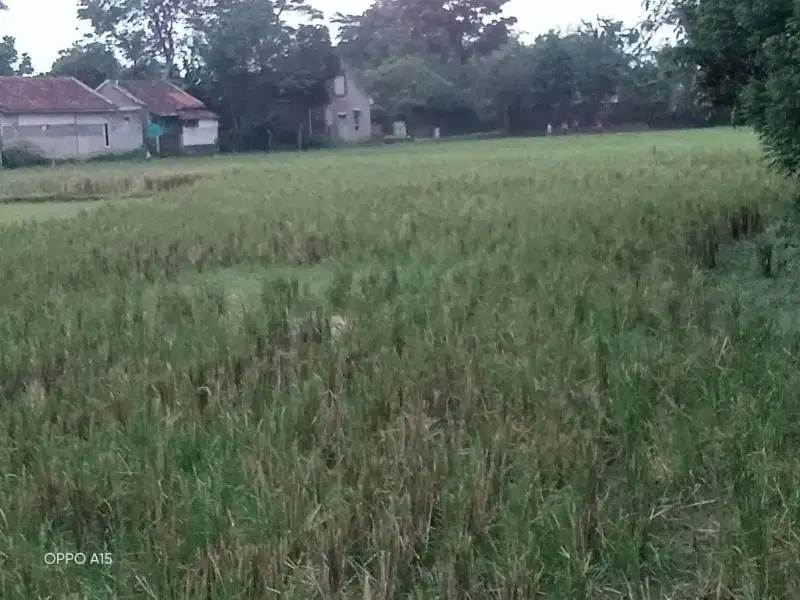 tanah pinggir jalan area Solokan jeruk Majalaya harga nego