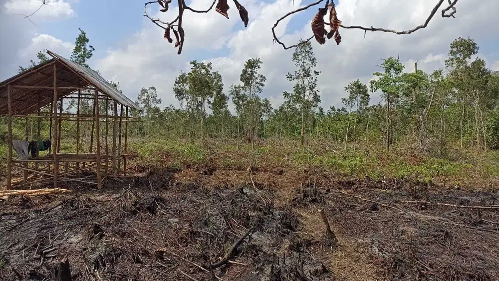 DIJUAL TANAH SIAP BANGUN SEMATANG BORANG PALEMBANG